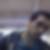Profilbild på Gurre Sahin