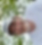 Profilbild på Thomas Ström