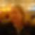 Profilbild på Lina Stenlund