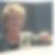Profilbild på Eva Borgegård