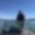 Profilbild på Rickard Linevik