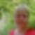Profilbild på Carola Norräng