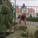 Profilfoto av Susanne Lindahl