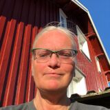 Profilfoto av Karin Dahlin