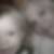 Profilbild på johanna uhlman