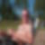 Profilbild på Johan Lilja