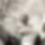 Profilbild på Staffan Kahlbom
