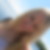 Profilbild på Caroline Karlsson