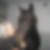 Profilbild på Rosmarie Flück