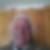 Profilbild på Bo Fernlund