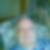 Profilbild på Bo Persson