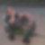 Profilbild på Tord Subäck