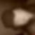 Profilbild på Tiina Untovuori
