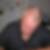 Profilbild på Jan Sonesson