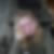 Profilbild på Susanne Lennqvist