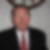 Profilbild på Willy Lindberg