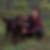 Profilbild på Åsa Forslund