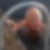 Profilbild på Ingmar Westgärds