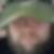 Profilbild på Piere Bergström