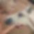 Profilbild på Annica Ullhag