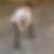 Profilbild på Abdulla Abdulrahman