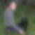 Profilbild på David Jisfält