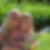 Profilbild på Therese Andersson