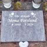 Profilfoto av Mona Forslund †