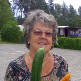 Profilfoto av Gunvi Appeby