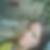 Profilbild på Malin Sjödin