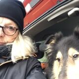 Profilfoto av Anne Persson