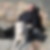 Profilbild på Hans Lindestaf
