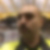 Profilbild på Haci Hamza Kucukgöl