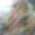 Profilbild på Anneli Gunnrsson