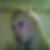 Profilbild på Annelie Malm