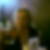 Profilbild på Maja Strömberg