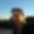 Profilbild på David Sepulveda