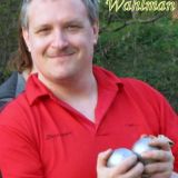 Profilfoto av Magnus Wahlman