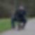 Profilbild på Anders Brändgården