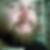 Profilbild på Håkan Edlund