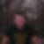 Profilbild på Todd Martinsson