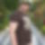 Profilbild på Mikael Svensson