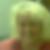 Profilbild på Tarja, Annica Vedenvik
