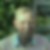 Profilbild på Reinhold Hermodsson