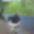 Profilbild på Jörgen Dannelöf