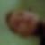 Profilbild på Mathias Olsson