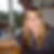 Profilbild på Sanna Sandell