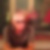 Profilbild på Glenn Söderberg