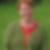 Profilbild på Annika Ferm