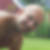 Profilbild på Joakim Lundberg